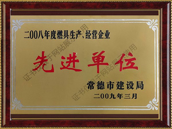 2008年度燃具生產(chǎn)、經(jīng)營企業(yè)先進(jìn)單位